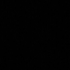 Meet your Posher, Randyn